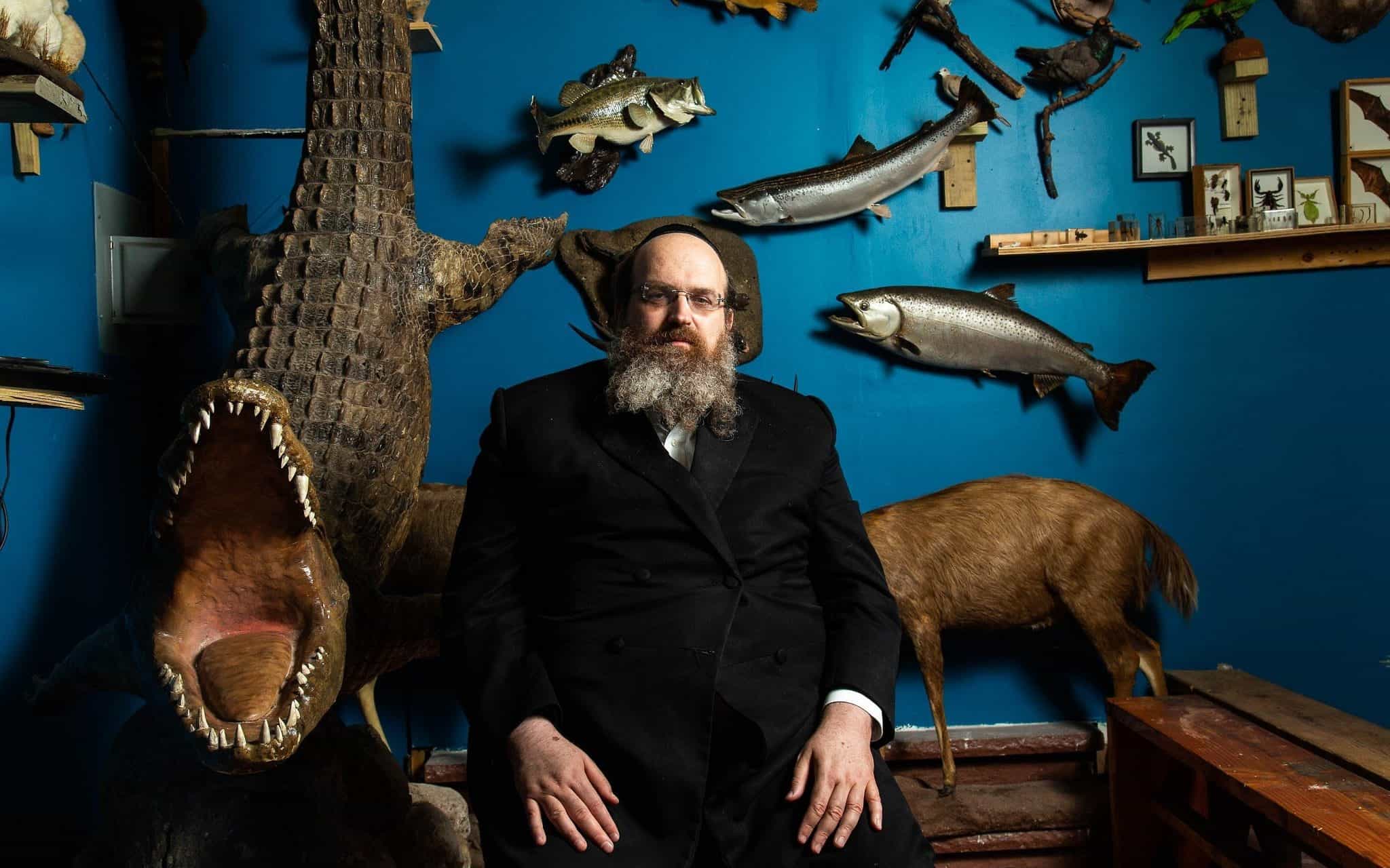 הרב שאול שמעון דויטש, מייסד מוזיאון חיות התורה בניו יורק, ליד פוחלץ של תנין (צילום: משה רובין)