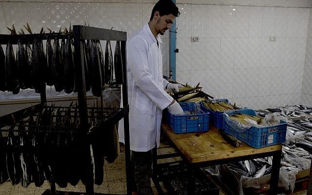 מפעל לעיבוד דגים בעזה, מאי 2019 (צילום: AP Photo/Hatem Moussa)