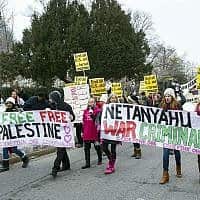 הפגנה נגד ישראל ונתניהו בוושינגטון, 2015 (צילום: AP Photo/Cliff Owen)