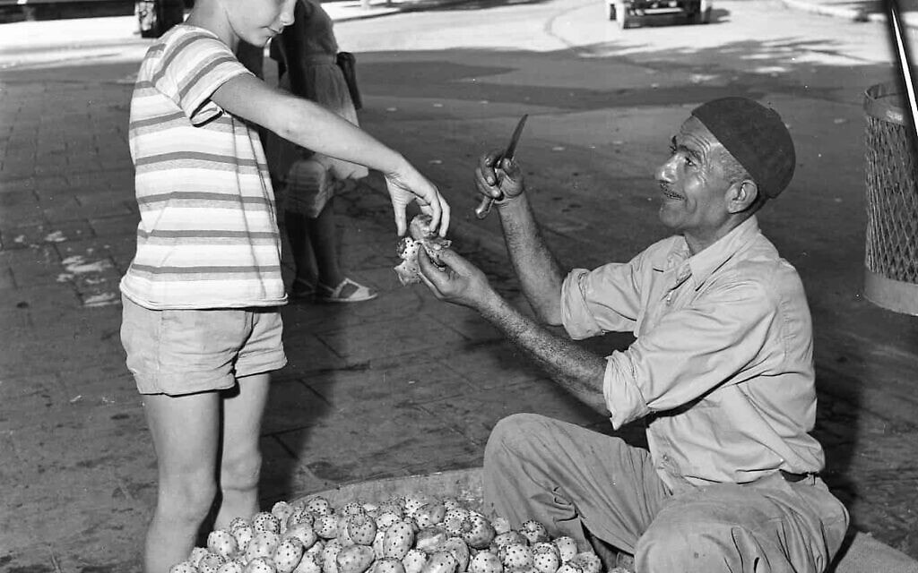 גבר מוכר סברס ברחוב בשנות ה-50 (צילום: אפרים אילני)