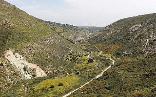 בָּּתה בשמורת נחל דישון בָּּתה בשמורת נחל דישון
