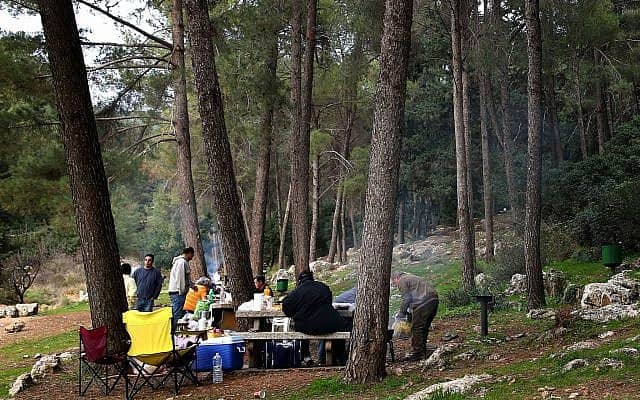 ישראלים מבלים ביער בגליל (צילום: Hadas Parush/Flash 90)