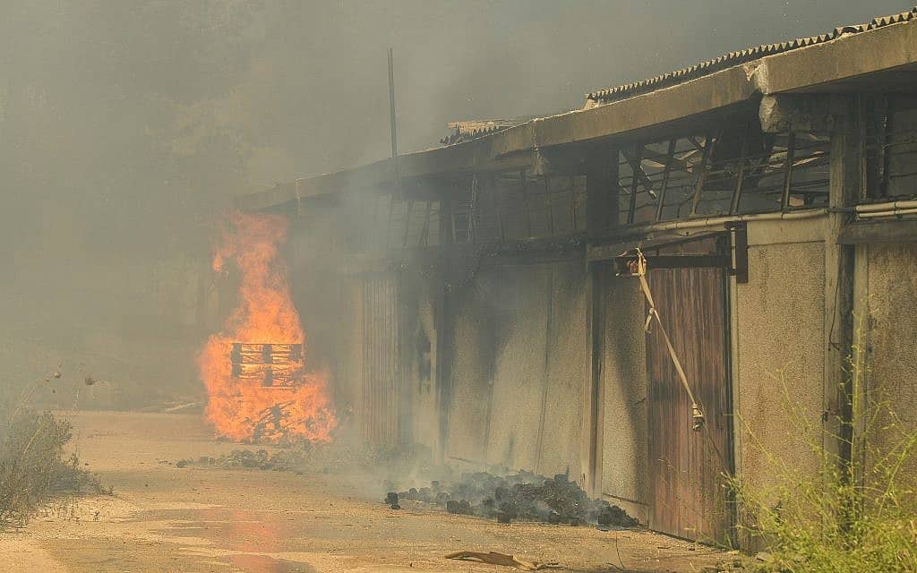 שריפה בשבי שומרון בגדה המערבית, 17 ביולי 2019 (צילום: Sraya Diamant/Flash90)