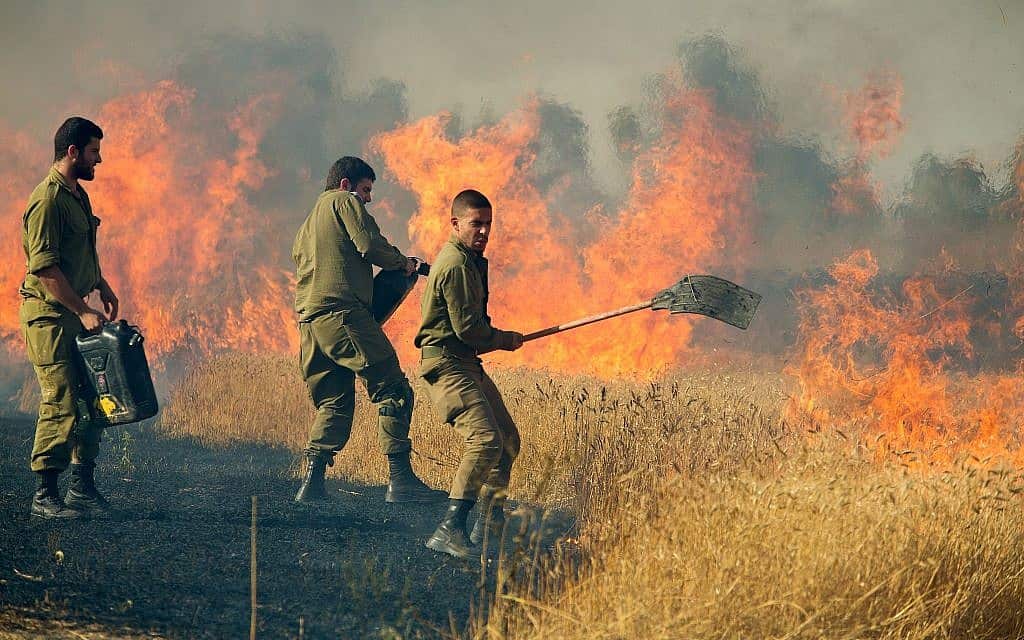 שריפה בעוטף עזה (צילום: משה שי, פלאש 90) שריפה בעוטף עזה (צילום: משה שי, פלאש 90)