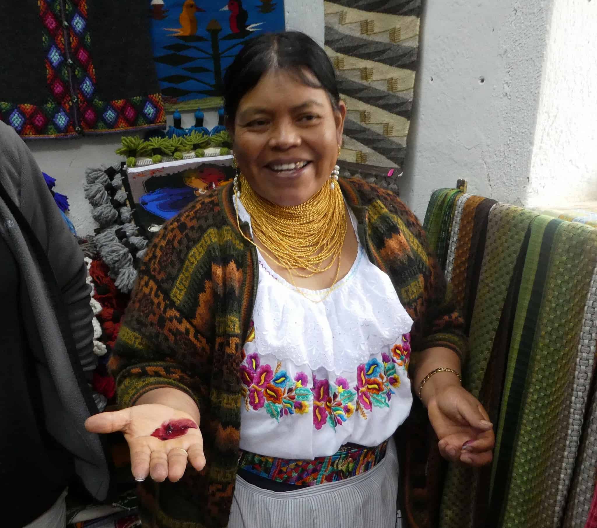 אישה באוטבלו, אקוודור, מדגימה כיצד מחיצה של כנימת קוכיניאל מניבה את החומצה הכרמינית המשמשת בסיס לייצור חומר צבע אדום (צילום: : סו סורקס)