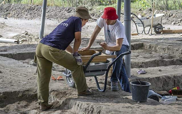 אלפי בני נוער ומתנדבים אחרים השתתפו בחפירות באתר החפירות מתקופת הברונזה הקדומה ליד חריש המודרנית (צילום: יניב ברמן, רשות העתיקות)