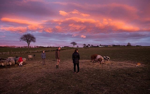 רייצ&#039;ל קרוטי מבקרת בחווה הקשורה לבריחה של סבתה בדנמרק (צילום: באדיבות המרואיינת)