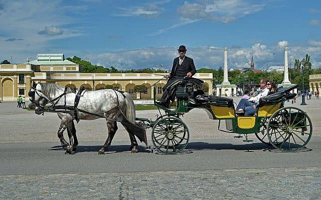 כרכרה עם סוסים במרכז וינה (צילום: pixabay)