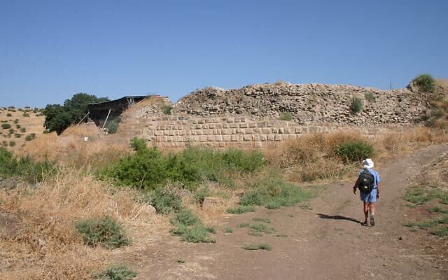 מצד עתרת נהרס ברובו על ידי צלאח א-דין. הארכאולוגים מצאו שרידים מהמבנה ב-1993 (צילום: שמואל בר-עם)