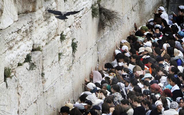 נשים יהודיות מתפללות בכותל המערבי (צילום: Miriam Alster/Flash90)