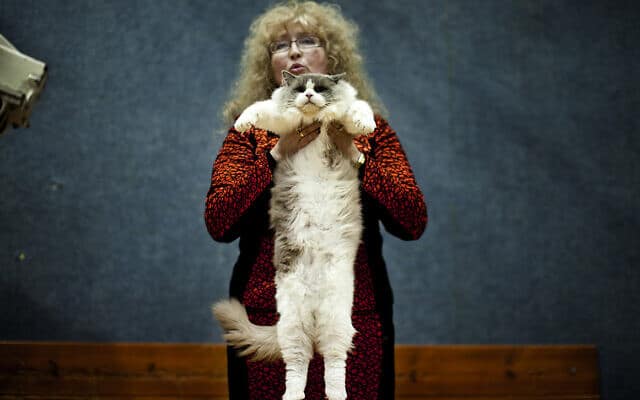 אישה מחזיקה חתול (צילום: Dima Vazinovich/Flash90)