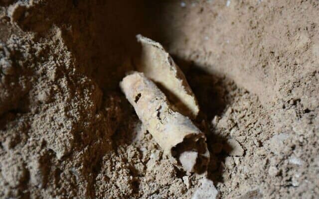 השריד הזה של כריכת מגילה בת אלפיים שנה נמצא במערה 53 בקומראן, ולדברי ארכיאולוגים, שייך למגילות ים המלח מתקופת בית שני, 8 בפברואר 2017 (צילום: באדיבות האוניברסיטה העברית)