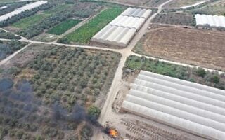 פסולת חקלאית באזור השרון פסולת חקלאית באזור השרון