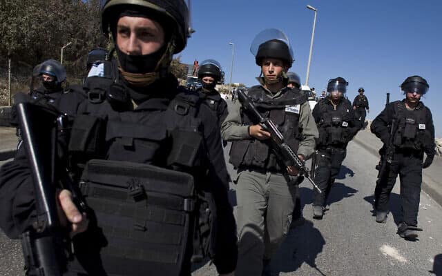 כוחות משטרה בעיסאוויה, נובמבר 2010 (צילום: AP Photo/Bernat Armangue)