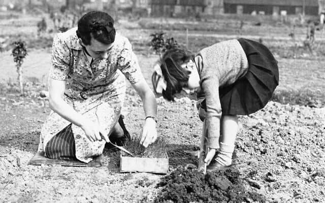 אזרחית בריטית ובתה מגדלות בצל בעקבות המחסור במזון במלחמת העולם השנייה (צילום: AP Photo)