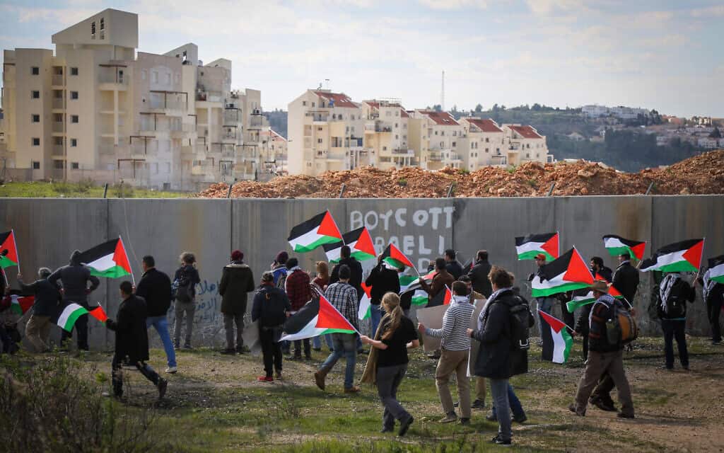 הפגנה של פלסטינאים ליד גדר ההפרדה. 2017 (צילום: Flash90)