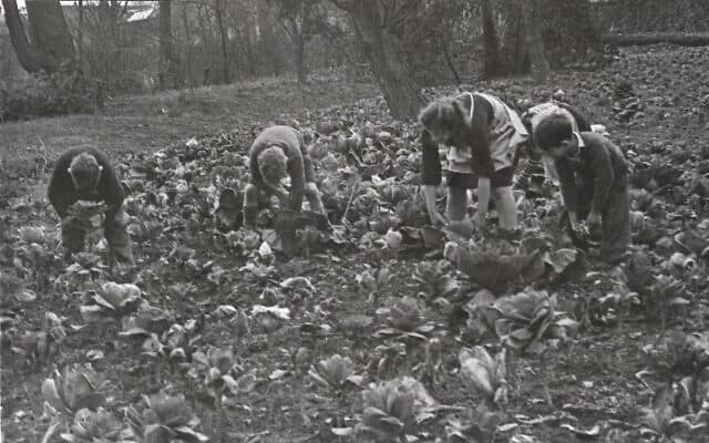 ילדים יהודים המתחבאים בצרפת במהלך מלחמת העולם השנייה, כשהם עובדים בשדות (צילום: מוזיאון זכר השואה בפריז\רונלד רוסבוטום)