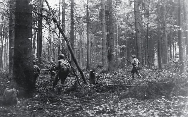 ביער הירטגן, הכוחות הגרמניים כיוונו פגזים לעבר ריכוזי עצים, וניצלו את האנטומיה של עצים רכים כדי להפוך עצי מחט לרסיסים קטלניים. התפוצצויות העצים היו גורם מכריע בתבוסת בעלות הברית והביאו למותם של 33,000 לוחמים בקרב על יער הירטגן בסוף 1944, שההיסטוריונים מחשיבים אותו לקרב הארוך ביותר שצבא ארצות הברית השתתף בו (צילום: הארכיון הלאומי של ארצות הברית/סאמנר)
