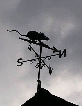 העכברוש בקצה שבשבת הרוח מעל המוזיאון באיאם (צילום: שאול אדר)