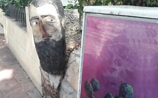 הרצל העץ (צילום: כרמלה כהן שלומי) הרצל העץ (צילום: כרמלה כהן שלומי)