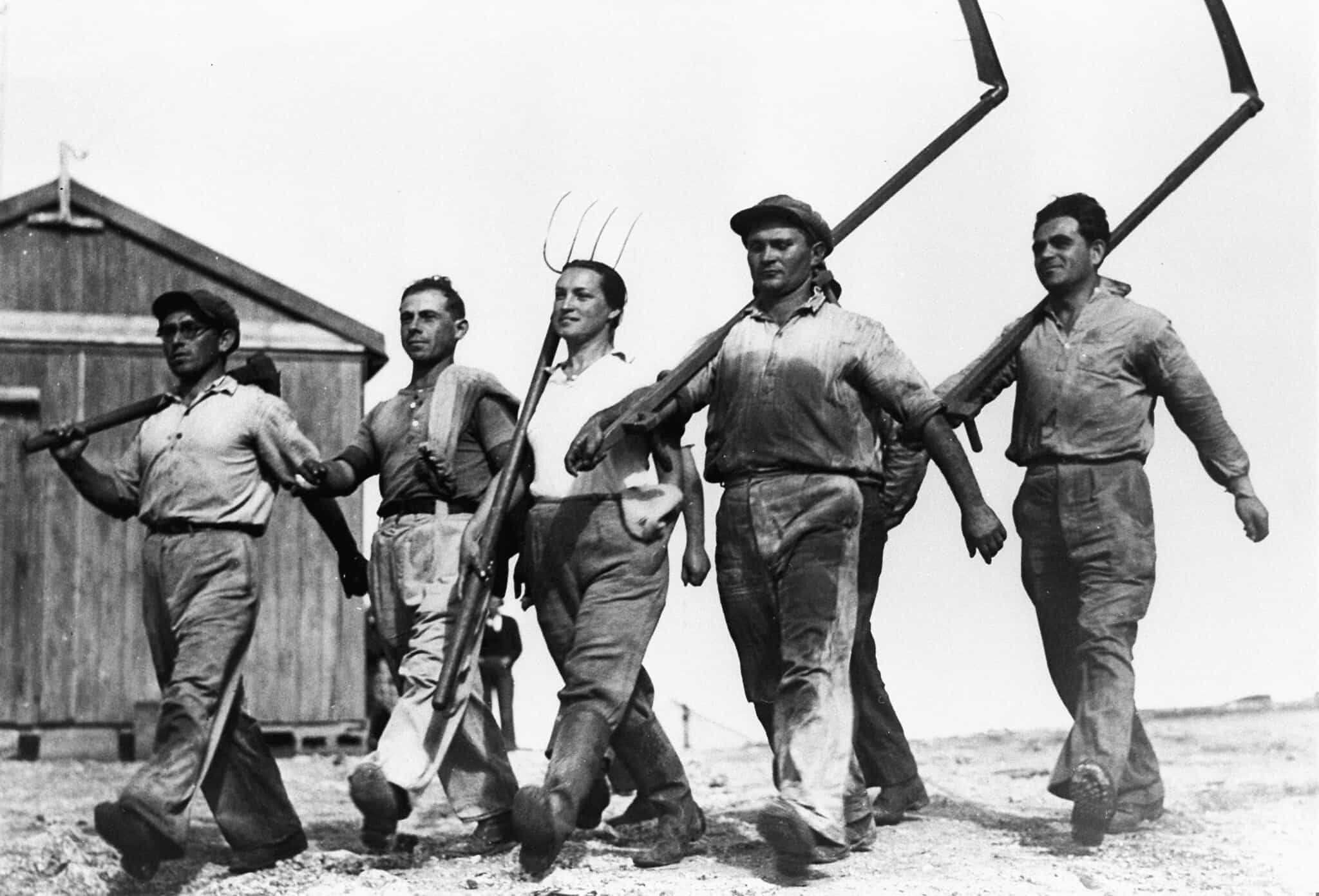 הסטרטאפיסטים הראשונים? חלוצים בעמק חפר, ב-1935 (צילום: זולטן קלוגר/לע