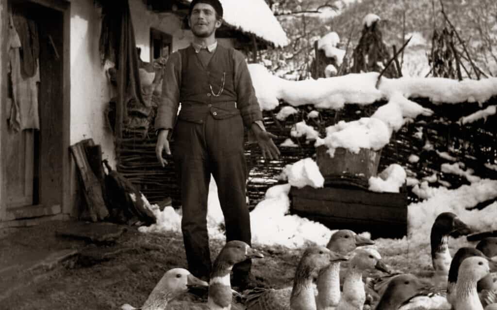 מגדלי אווזים יהודים בסביבות נאג'יסומבט (טרנבה, סלובקיה) ב-1938 (צילום: רומן וישניאק/באדיבות CEU Press)