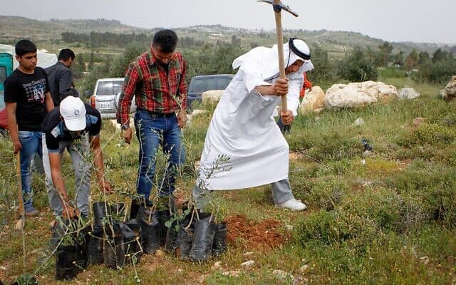 אילוסטרציה: נציגי הרשות הפלסטינית, יחד עם פעילי שלום מישראל ומהעולם, נוטעים עצים ליד מתחם בית אל-ברכה במחאה על גזילת האדמות בידי מתנחלים ישראלים, 9 באפריל 2016 (צילום: Wisam Hashlamoun/Flash90)