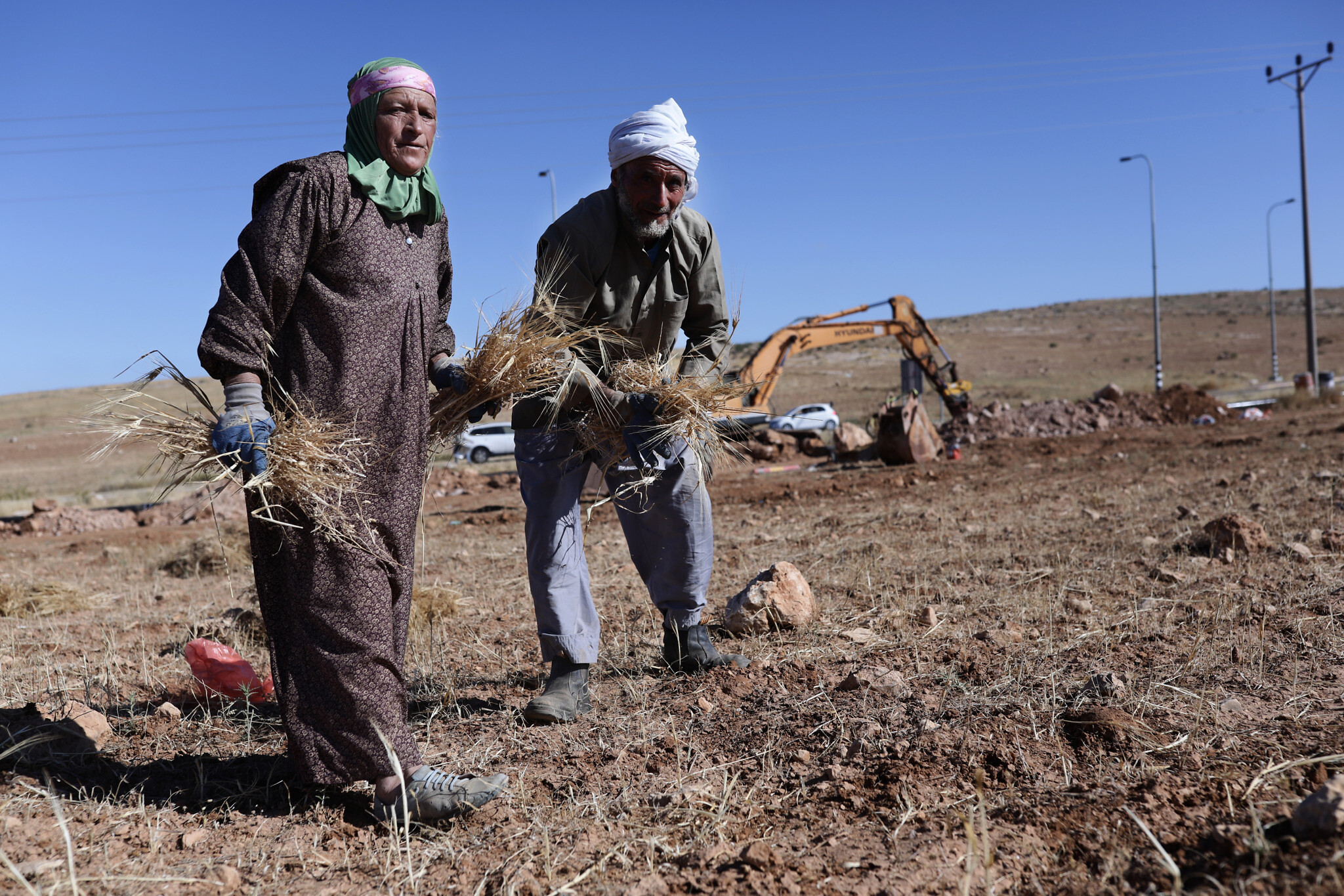 חאלד אבו-עבד וקרובת משפחה עובדים את האדמה ליד הכביש המוביל לסוסיא (צילום: אלדד רפאלי)