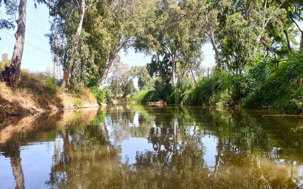 מקטע רמת גן בנחל הירקון (צילום: אביב לביא)