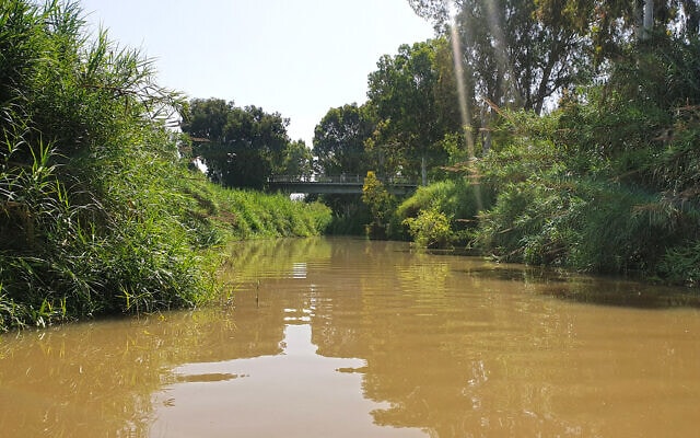 מקטע רמת גן בנחל הירקון המתוכנן לפתיחה לשייט (צילום: אביב לביא)