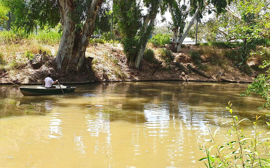 סגן ראש עיריית רמת גן רועי ברזילי שט בנחל הירקון, במקטע החדש המתוכנן לפתיחה לשייט (צילום: אביב לביא)