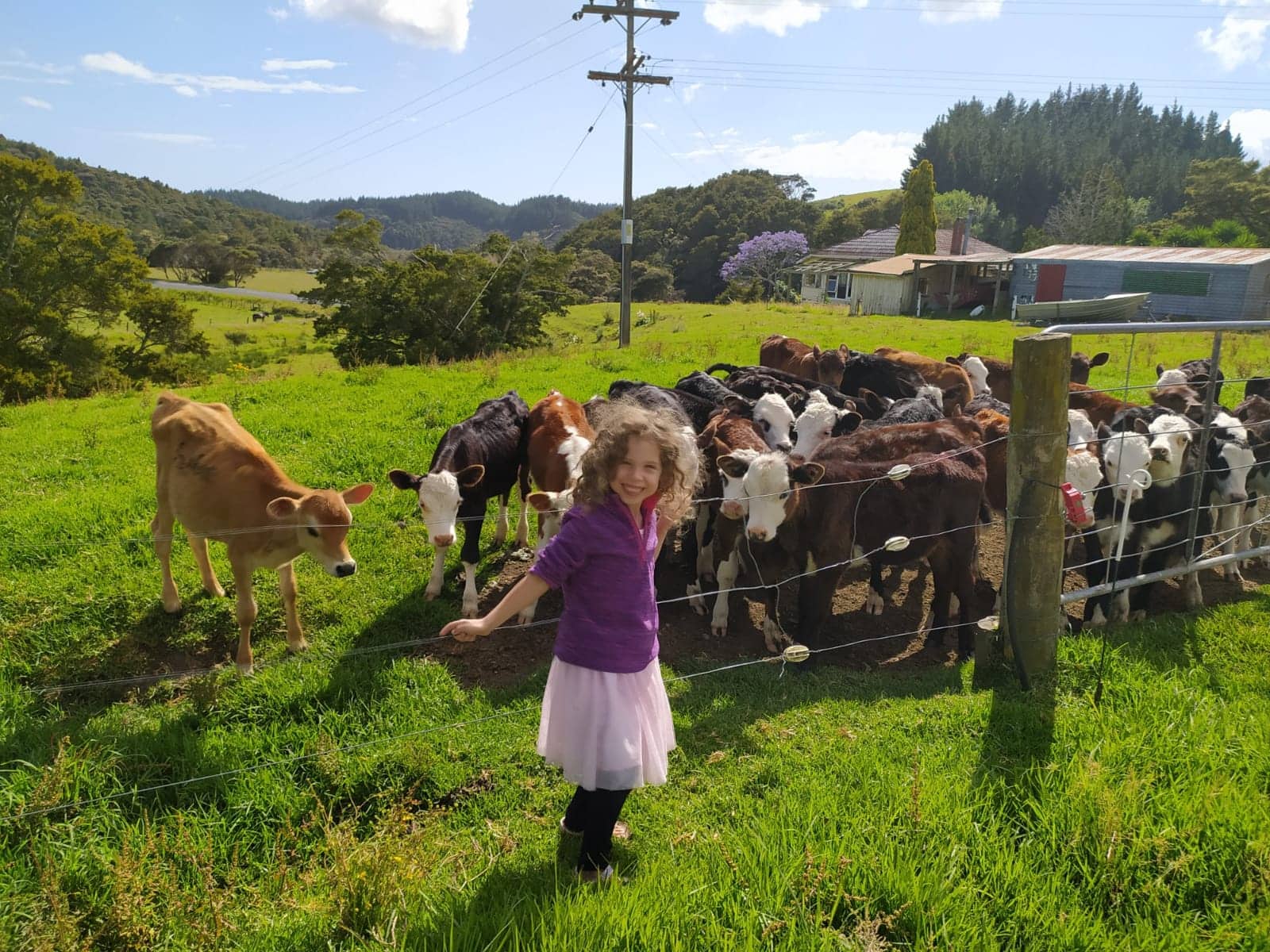 חוות הבידוד בניו זילנד (צילום: באדיבות המצולמים)