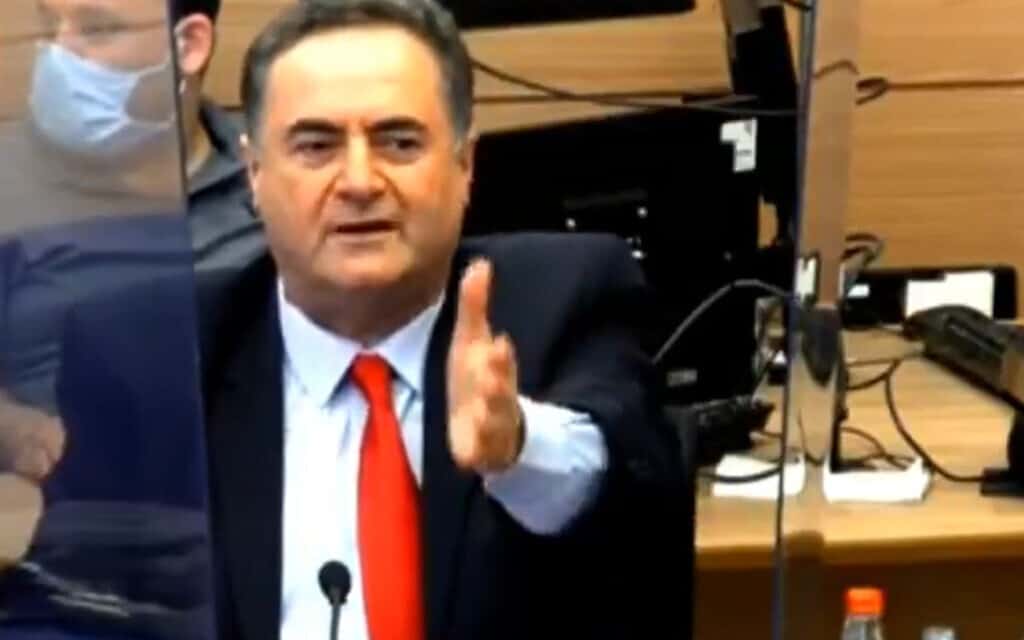 ישראל כץ בוועדת הכספים (צילום: צילום מסך מתוך ערוץ הכנסת) ישראל כץ בוועדת הכספים (צילום: צילום מסך מתוך ערוץ הכנסת)
