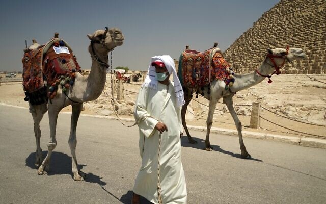 מדריך מסעות גמלים במצרים של עידן הקורונה, יולי 2020 (צילום: AP Photo/Hamada Elrasam)