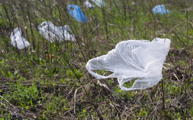 שקיות פלסטיק בטבע (צילום: iStock)