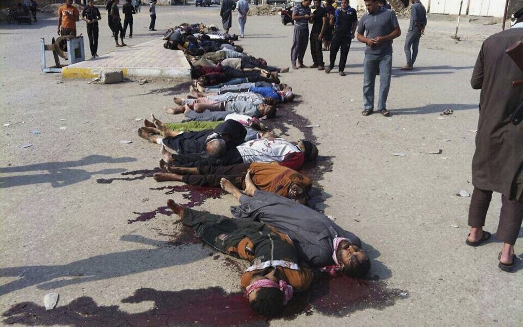 גופות של לוחמים סונים בעיראק שהוצאו להורג על ידי דאע&quot;ש, ב-29 באוקטובר 2014 (צילום: AP Photo)