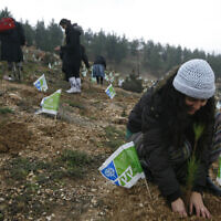 אילוסטרציה, יהודים מחו"ל נוטעים עצים בארץ בשיתוף קק"ל, 2010, למצולמים אין קשר לנאמר בכתבה (צילום: Miriam Alster/Flash90)