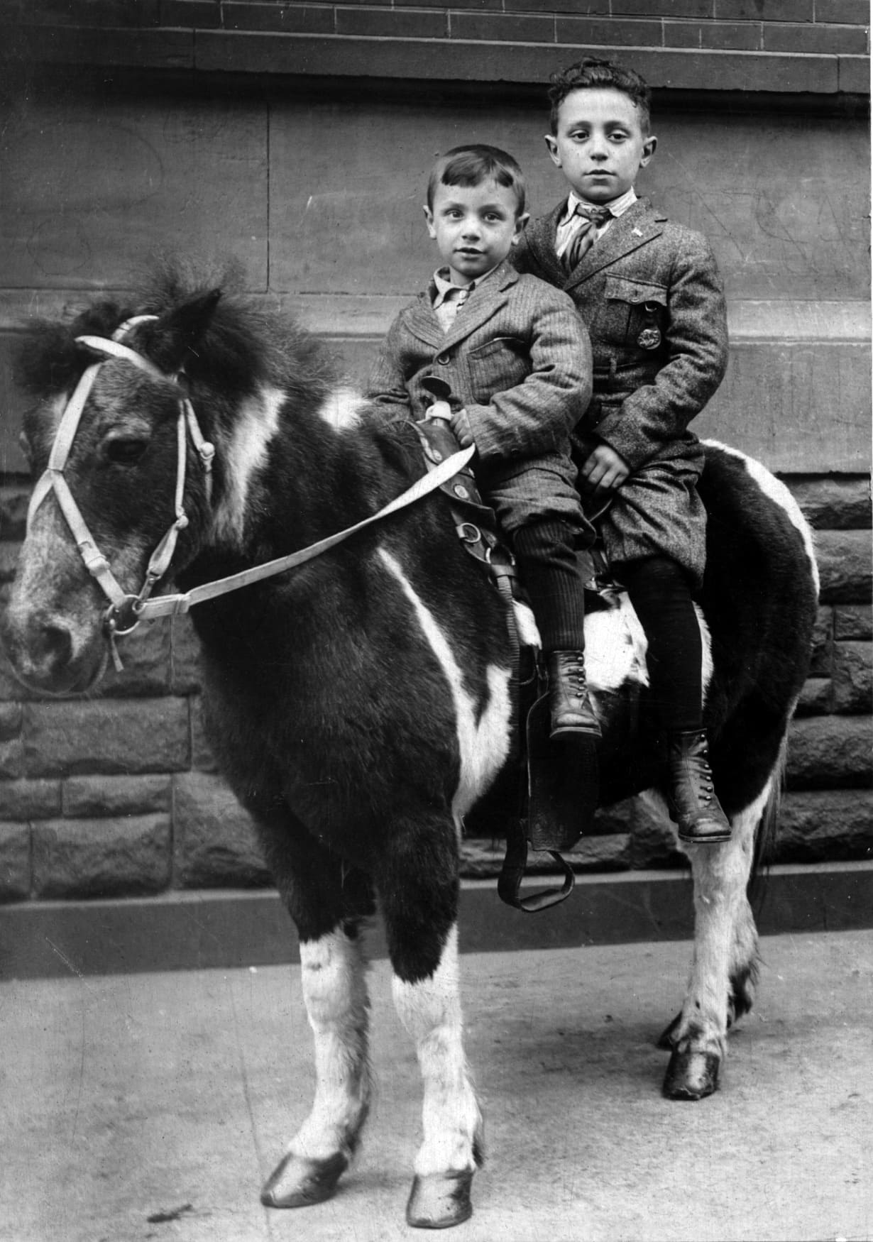 דויד קרסו, אביה של גייל קרסון לוין (מלפנים) עם אחיו. התמונה צולמה ב-1915-1916 בסלוניקי או זמן קצר אחרי הגעתם לניו יורק (צילום: באדיבותה)