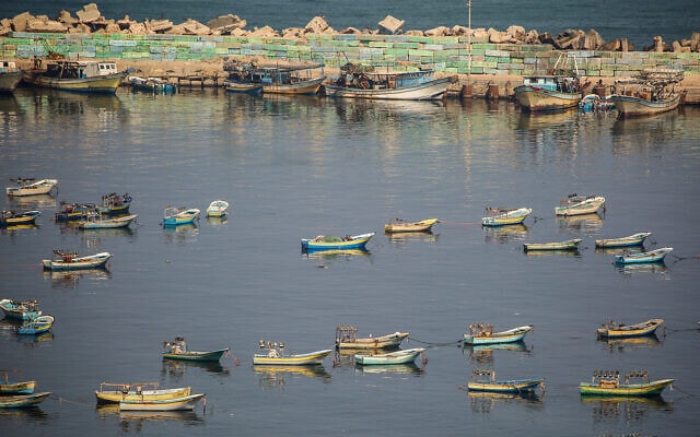 סירות דייגים בנמל עזה, יוני 2019 (צילום: חסאן ג'די/ פלאש 90)
