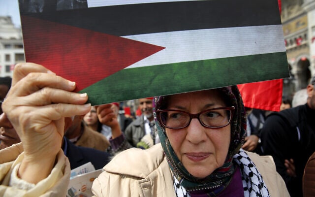 ארכיון, הפגנה למען הפלסטינים ונגד כינוס הליגה הערבית בטוניס, 2019 (צילום: AP Photo/Hussein Malla)