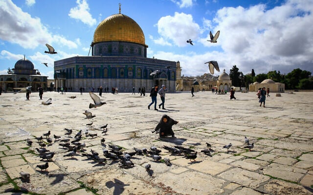 כיפת הסלע בעיר העתיקה בירושלים. ינואר 2020 (צילום: Sliman Khader/Flash90)