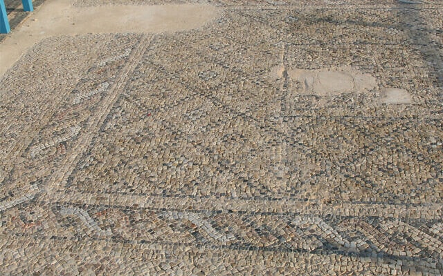 רצפת פסיפס מהתקופה הרומית בגן הארכיאולוגי באשקלון (צילום: שמואל בר-עם)
