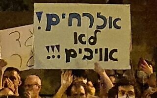 שלט בהפגנה בבלפור (צילום: איתי לנדסברג נבו) שלט בהפגנה בבלפור (צילום: איתי לנדסברג נבו)