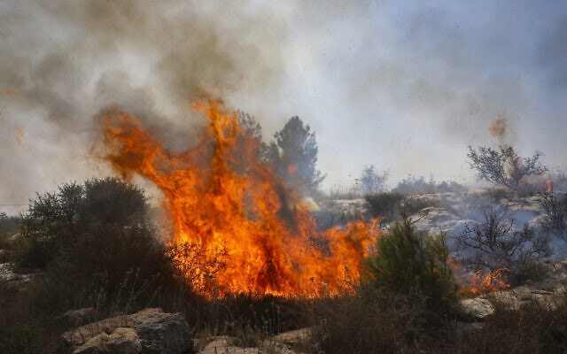 .שריפה בהתנחלות כפר אורנים, 9.10.2020 (צילום: יוסי אהרוני, פלאש 90)