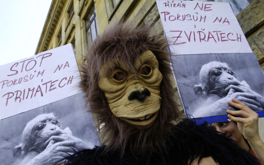 מחאה נגד ניסויים בבעלי חיים (צילום: AP Photo/CTK, Michal Krumphanzl)