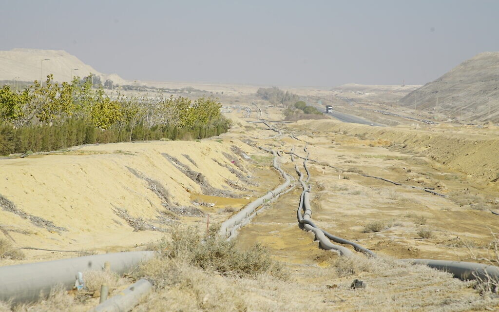 מישור רותם באזור ים המלח (צילום: גרינפיס)
