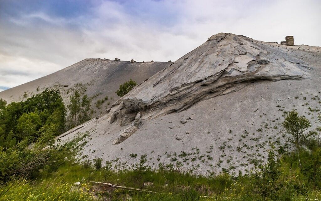 גבעות אפר מזהם ומזיק לבריאות כתוצאה מכריית פצלי שמן באסטוניה, 2018 (צילום: MetokKarpo / Alamy)