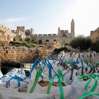 חפירות במתחם מוזיאון מגדל דוד, נובמבר 2020 (צילום: ריקי רחמן)