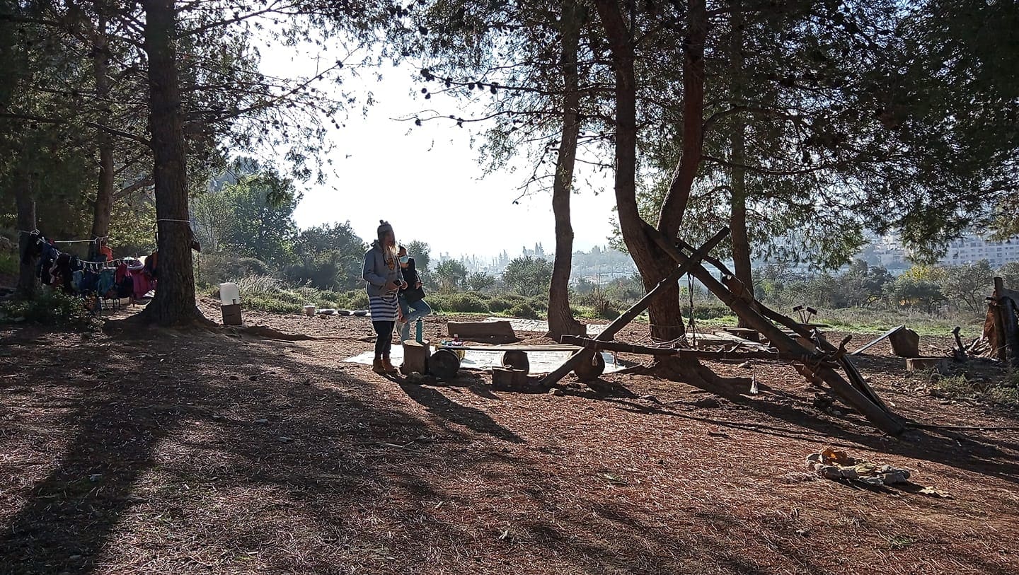 גן היער בעמק הצבאים בירושלים (צילום: קבוצת כיתת יער, פייסבוק)