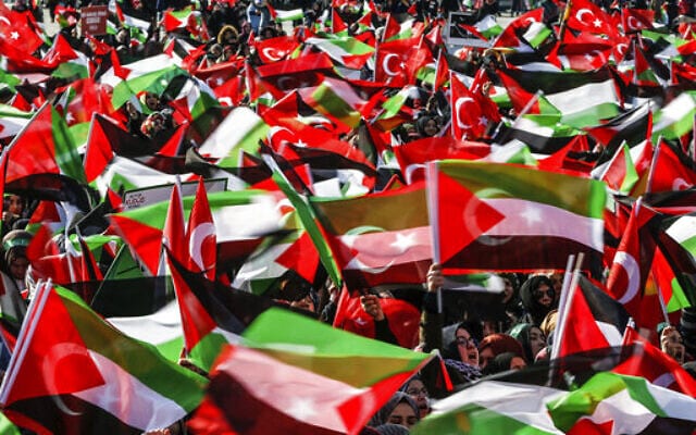 מפגינים פרו-פלסטינים מוחים באיסטנבול בעקבות פרסום תוכנית השלום של נשיא ארצות הברית דונלד טראמפ, 9 בפברואר 2020 (צילום: Emrah Gurel, AP)